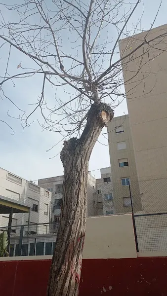 Centro Privado de Formación Profesional Fp.Fina Izquierdo Sa.