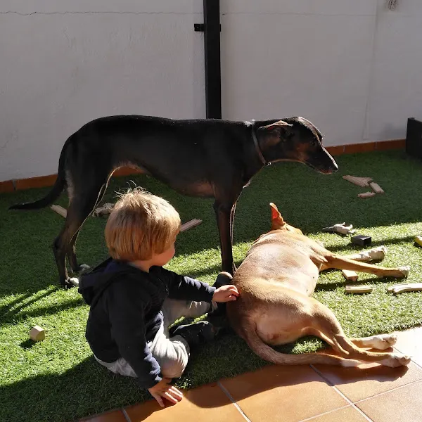 Canclau Madre de Día - Centro de educación preescolar en Alquerias del Nino Perdido - foto 2