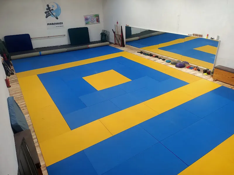 ESCUELA DE WUSHU/KUNG-FU DAXUE ALBACETE - Albacete