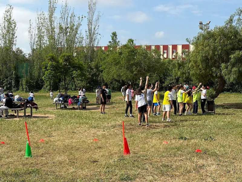 Davante MEDAC Huelva La Hispanidad ️🥇 FP Huelva