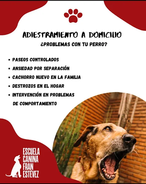 Escuela Canina Fran Estévez Badajoz - Badajoz