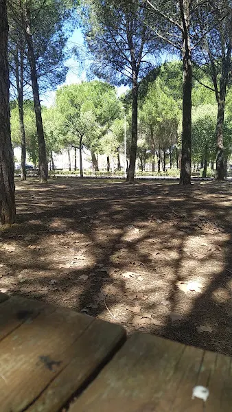 Facultad de Ciencias - Universidad en Badajoz - foto 2