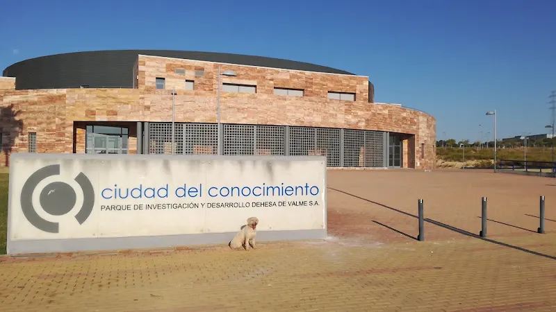 (Futuro) CEIP Entrenúcleos - Colegio público en Dos Hermanas - foto 3