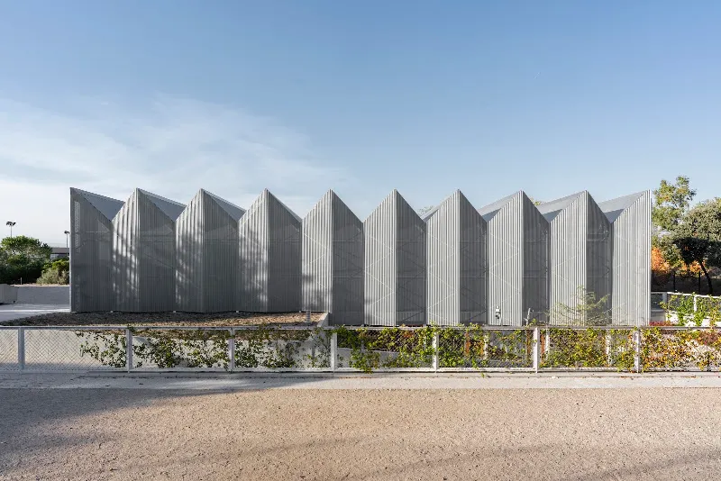 Runnymede College - San Sebastián de los Reyes