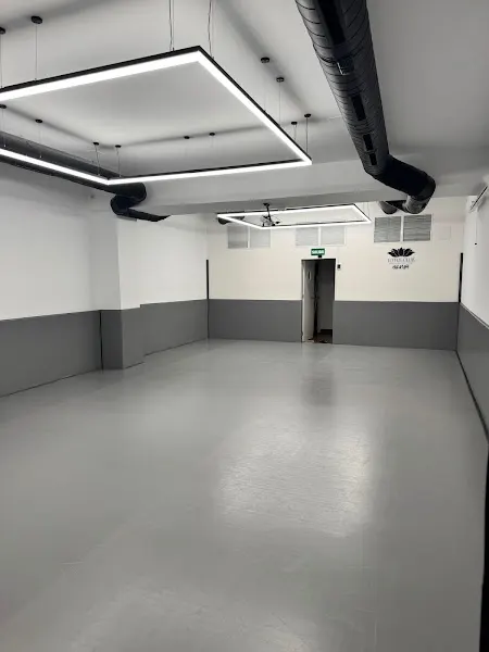 Brazilian Jiu Jitsu Malasaña | Lotus Club BJJ