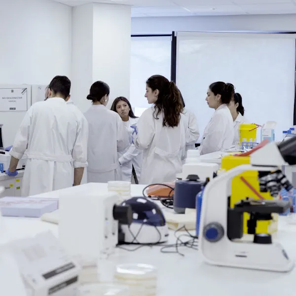 CEMP - Centro Europeo de Másteres y Posgrados