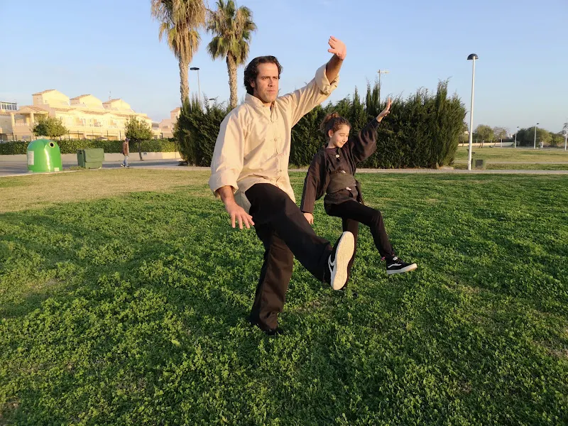 Escuela de Taichi y Chikung La Semilla - Torrevieja