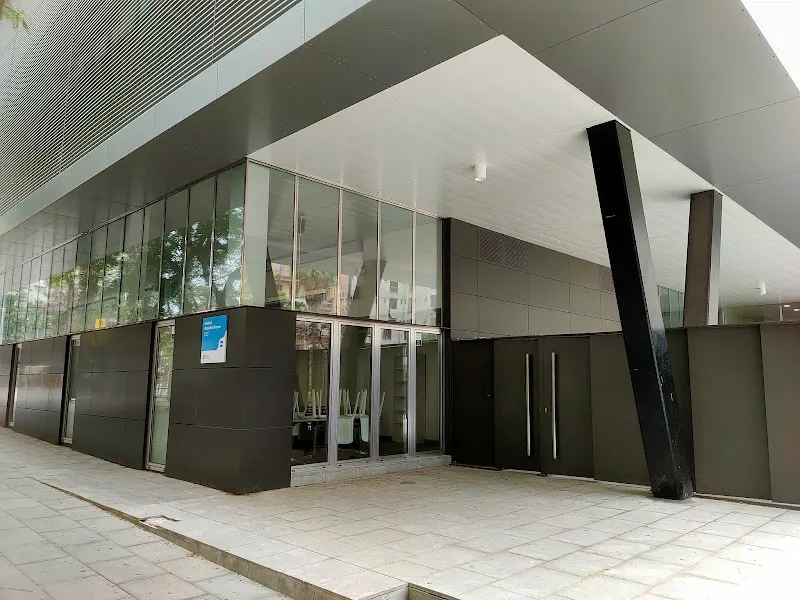 Instituto Angeleta Ferrer