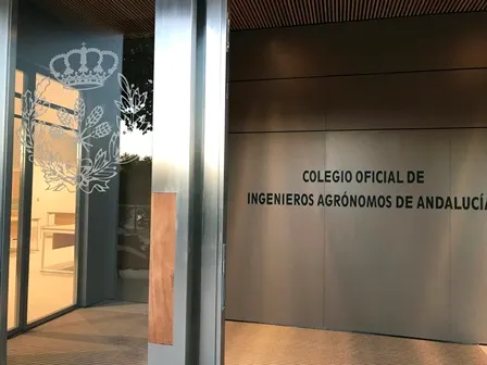 Colegio Oficial Ingeniería Geomática y Topográfica - Colegio público en Sevilla - foto 3
