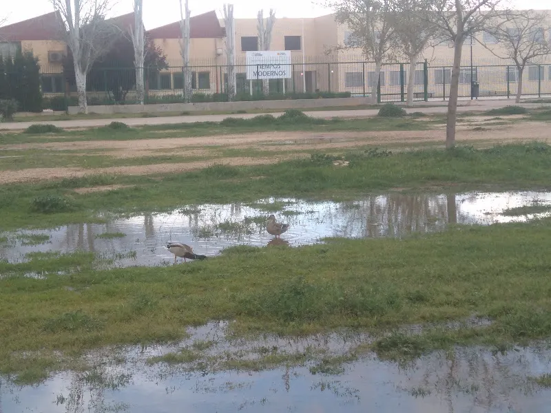 IES Tiempos Modernos - Zaragoza