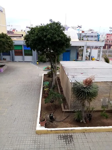 IES Franchy Roca - Instituto de secundaria en Palmas de Gran Canaria (Las) - foto 2