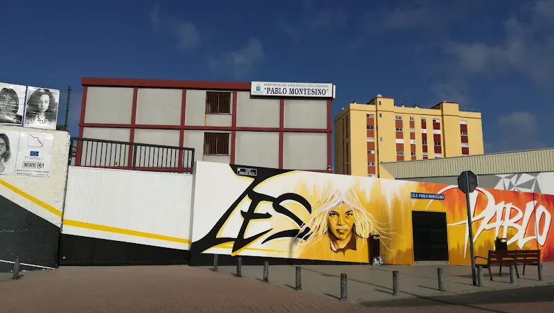 IES Ramón Menéndez Pidal - Instituto de secundaria en Palmas de Gran Canaria (Las) - foto 3