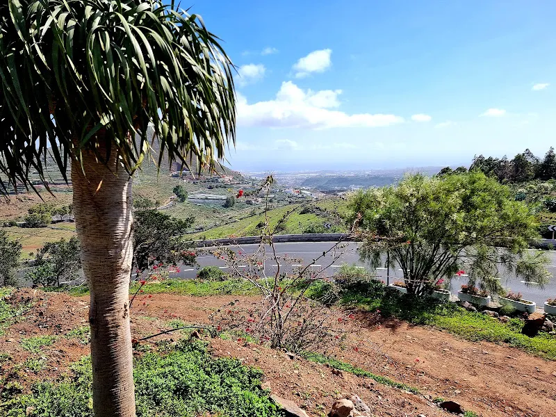Colegio Público San Lorenzo - Colegio público en Palmas de Gran Canaria (Las) - foto 3