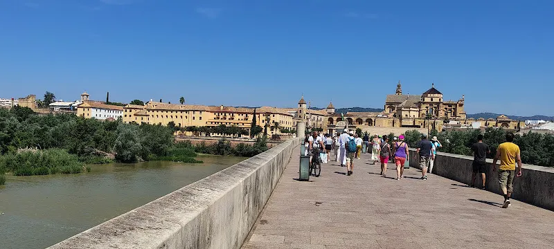 Escuela Integral de Idiomas W!N - Centro educativo en Córdoba - foto 2