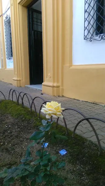 Instituto de Educación Secundaria Ies Santa Catalina de Siena