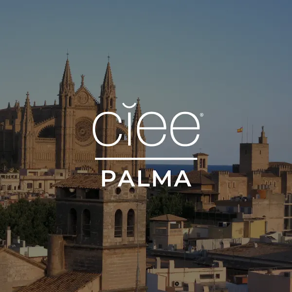 CIEE Study Abroad Palma de Mallorca - Centro educativo en Palma - foto 2