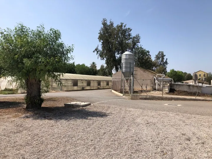 CDA Torre Pacheco - Lorca