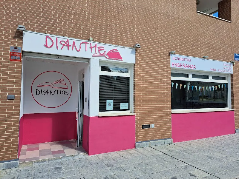 Academia apoyo Dianthe - Guadalajara