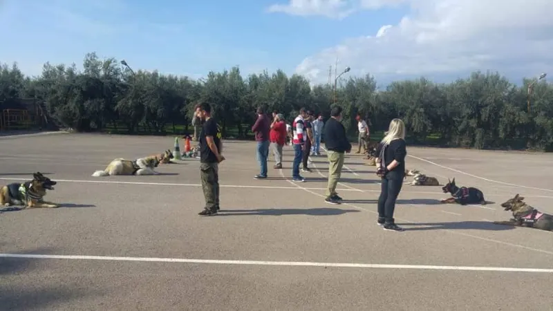 Escuela Canina Rytual-Kan - Adiestrador canino en Roquetas de Mar - foto 2