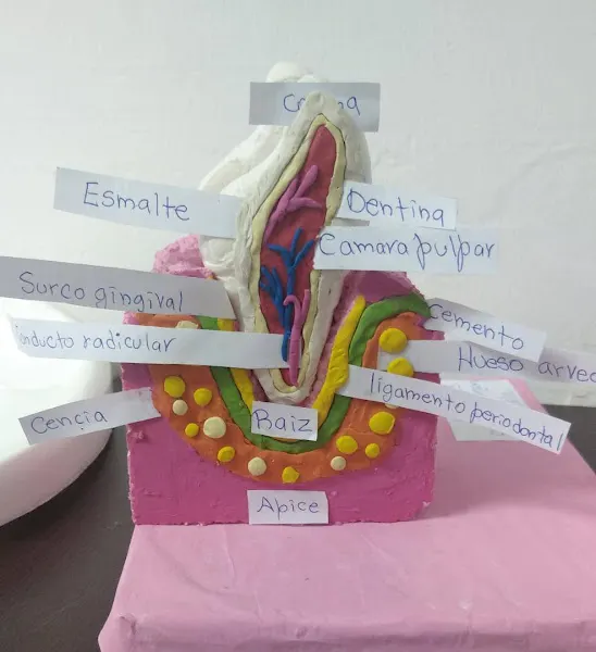 Instituto Iberoamericano de Auxiliares, Sede de Odontologia Fuengirola - Centro educativo en Fuengirola - foto 2