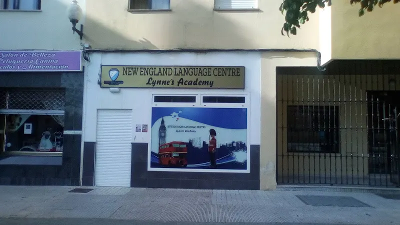 SpeakEasy Academy. Academia de Inglés - Centro educativo en Linea de la Concepcion (La) - foto 2