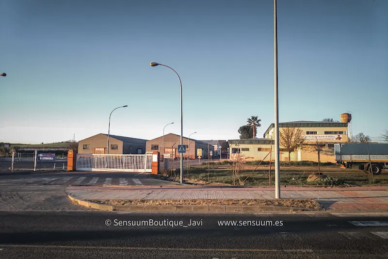 Centro de Educación Vial de Mérida - Mérida