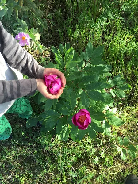 Escuela El espacio de la Flor Growing Together - Alpedrete