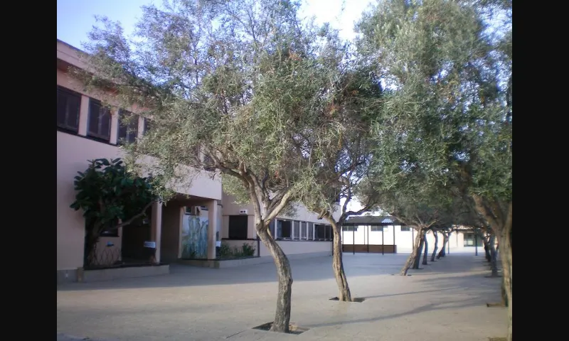 Colegio Público CP Galatzó - Calvià