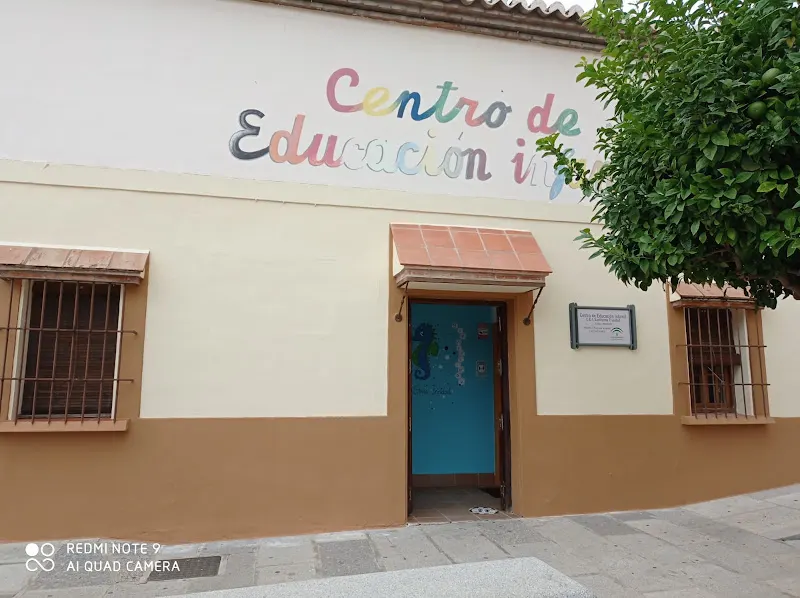 Centro De Educación Infantil Santísima Trinidad - Centro educativo en Antequera - foto 3
