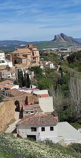 Instituto del Opositor - Centro educativo en Antequera - foto 3