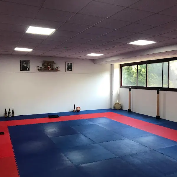 Isshin Dojo