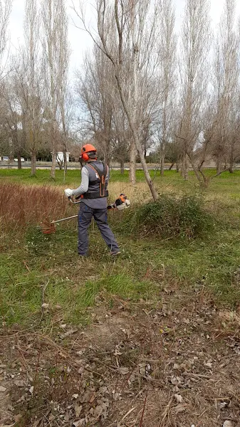 Taller de empleo Benestar i Natura II