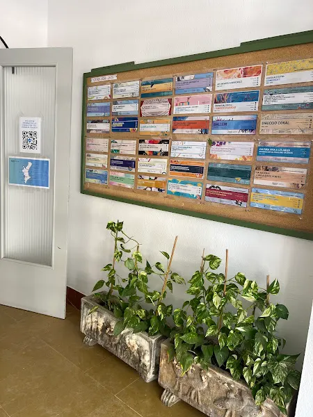 CEFIRE de Vinaròs - Centro educativo en Vinaròs - foto 2