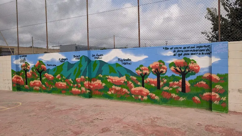 Poliesportiu - Sala Polivalent Institut Escola Santa Ana