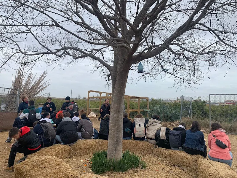Del camp a la taula , Oficinas y aula - Centro educativo en Albal - foto 2