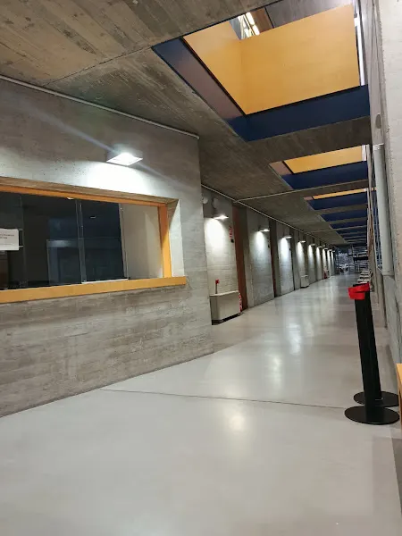 CENTRO PROFESIONAL DE MÚSICA SOCIEDAD MUSICAL INSTRUCTIVA SANTA CECILIA - Cullera