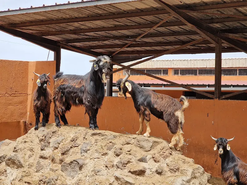 Escuela de Capacitación Agraria de Tacoronte - Centro educativo en Tacoronte - foto 2