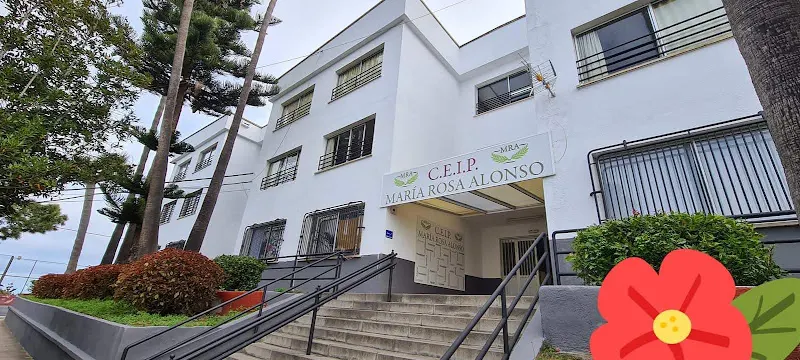 CEIP María Rosa Alonso - Colegio público en Tacoronte - foto 2