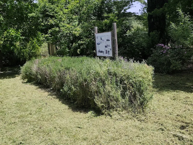 Vivero Escuela Río Guadarrama - Arroyomolinos