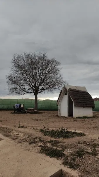 Camp de pràctiques Escola Agrària d'Amposta - Amposta