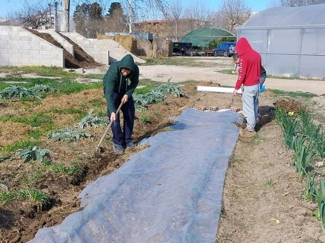 Camp de pràctiques Escola Agrària d'Amposta - Centro educativo en Amposta - foto 2
