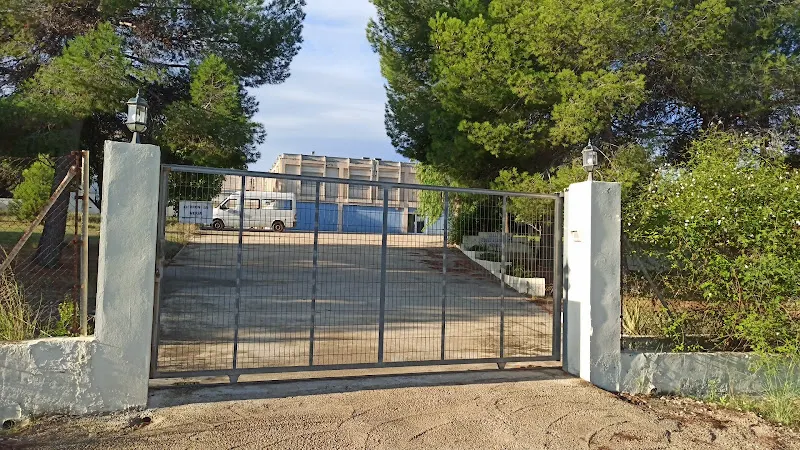 Centro de Día LES ALFABEGUES AVAPACE - Sagunto