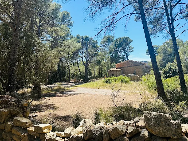 POBLE NOU - Centro educativo en Alcudia - foto 2