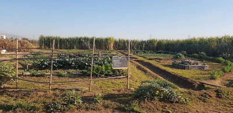 ILUSTRAHUB