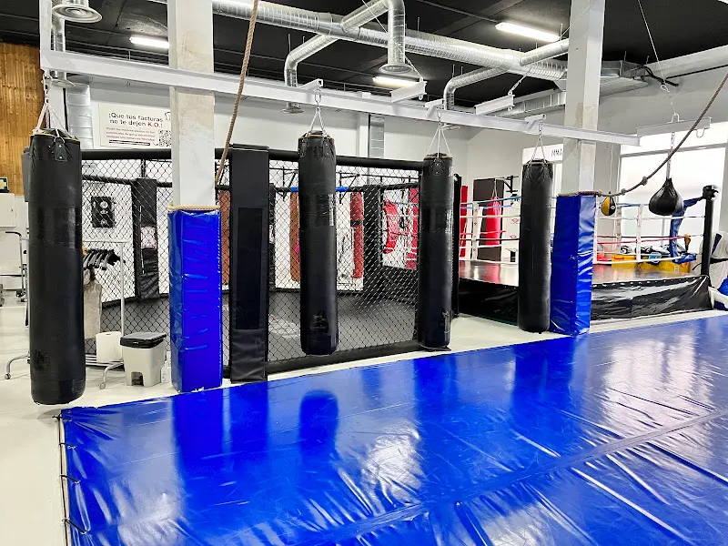 KABASHI CENTER ARROYOMOLINOS. MMA, Krav Maga Urbano,Defensa Personal,Grappling,Jiujitsu,Judo,Sambo,Policial - Arroyomolinos