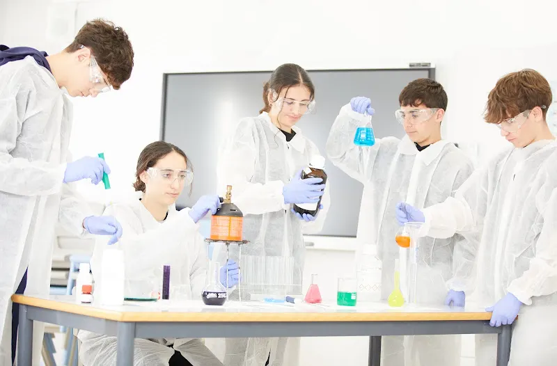 CELL MEDICUM ACADEMY - Centro educativo en Santanyi - foto 3