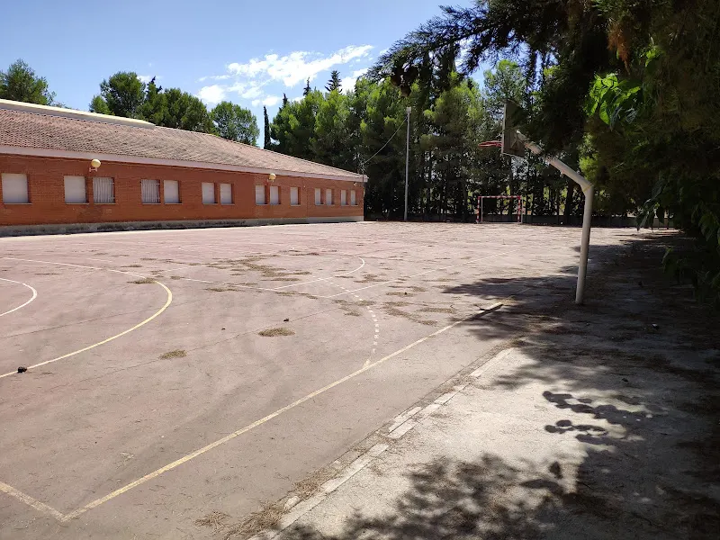 Colegio Público Antonio Machado - Colegio público en Bullas - foto 2