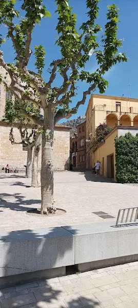 Torroella de Montgrí - Torroella de Montgrí