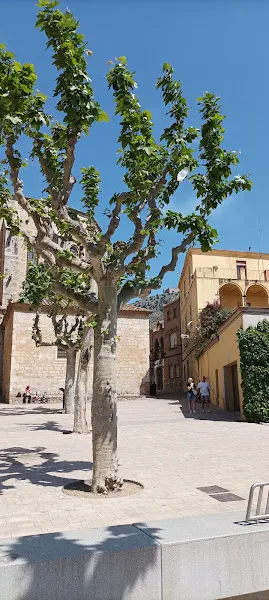 Torroella de Montgrí - Centros de formación para obtener el carné de conducir en Torroella de Montgrí - foto 2
