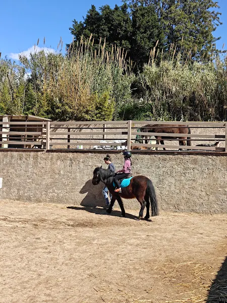ENAM Montgat